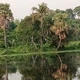 Pasthik
