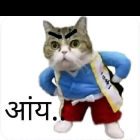 Shravan935