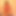 c4rl456