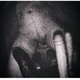 LostInPervert