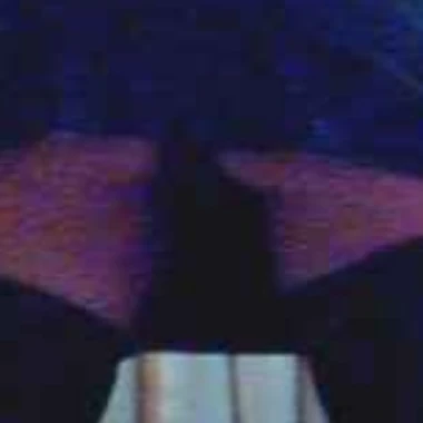 Cdamy1
