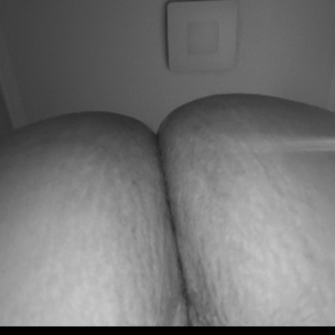GILFTracyBSeekBbc