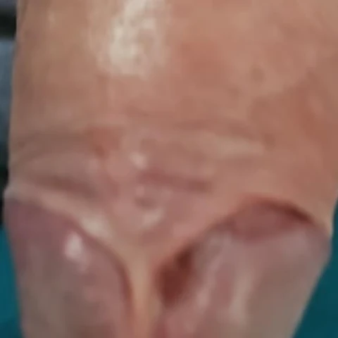 Svenxsch