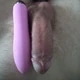 Angelitoxxxxbisex