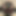 RubberGimp19