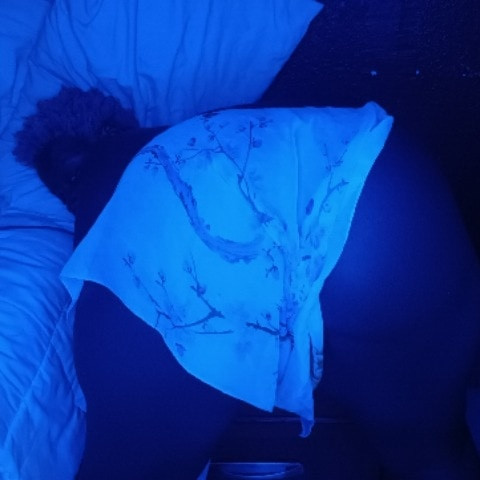 TrapGurl_TRIXIE