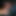 PunyZucchini1
