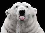 boo7
