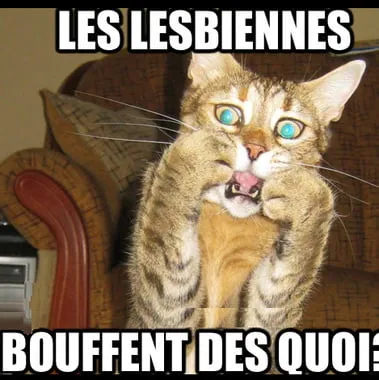 missminuit