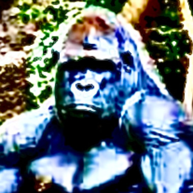 Gorilladicknick26