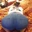 ThatAsszTho