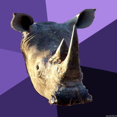 Rhinocerous0211