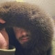 Hardfoxfurs