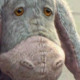 dfghgjjfhgjtrdsf