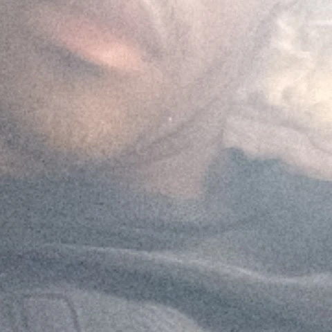 DonPrinceBBw