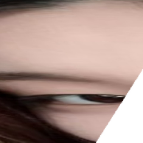 CommonProgress