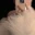 Alexander_q