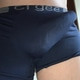 spermalecker44