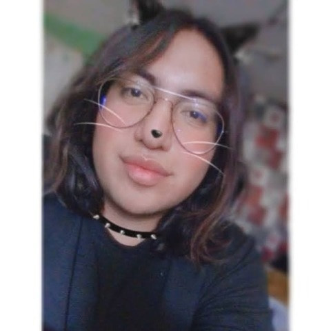 cat_baby