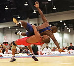 wrestlerandkaratedo