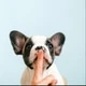 Shhh_Stories