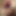 Claytonpeepeeboy23