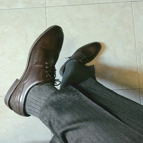 Hugosocks