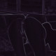 XAnonymous_