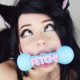 betapuppy_