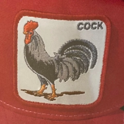 BigFatCock_18CM