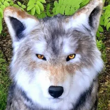 ZeeFurredWolf