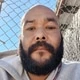 thewanderingbull
