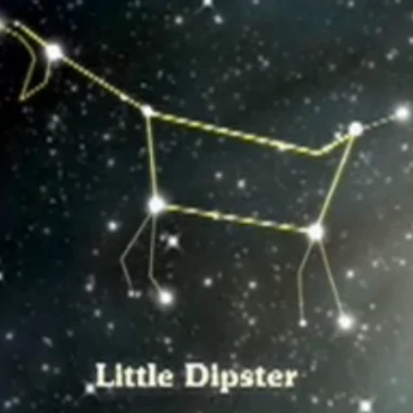 TheLittleDipster