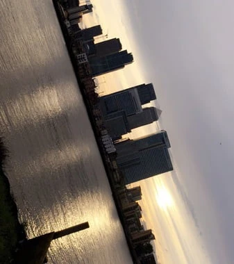 TonyLuciano26