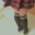 FemBoyIzzy