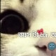 Ranapramanik662