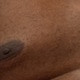 Bigbootyfuckingall