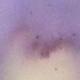 coquinely