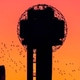 Dallasbredxxx