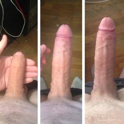 lionger23cm