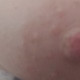Boobies1969