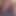 Eichel_Glanz_65205