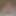 tvsallyslut