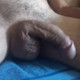 michsebin75