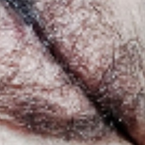 pom24