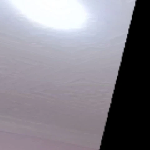 PetalousSpacer0