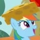 appledash