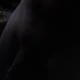 wildshark69