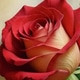 Dilnawazkhan827
