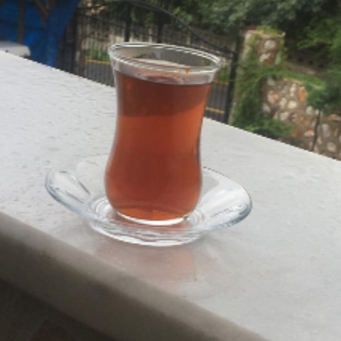 mutalip54